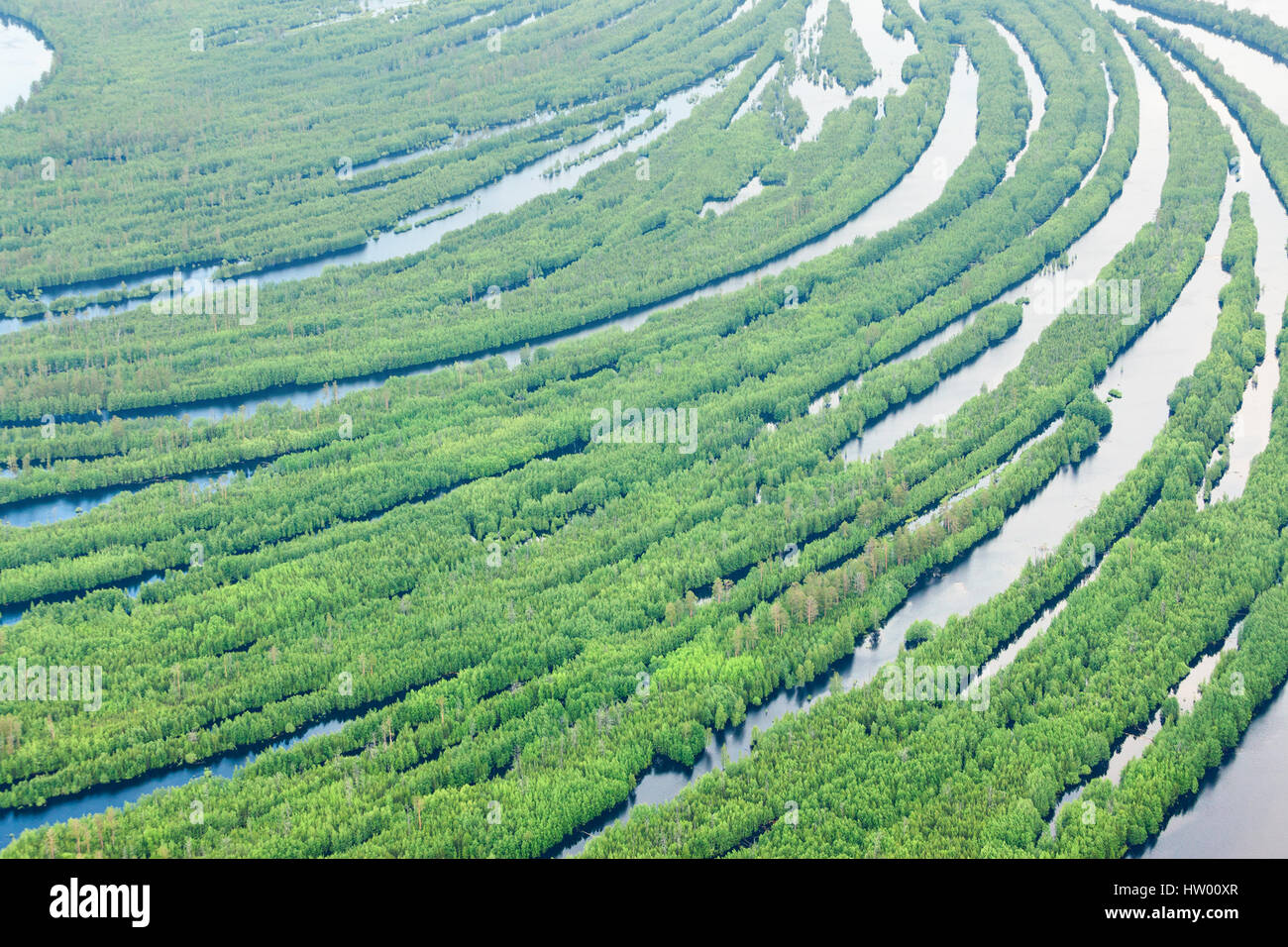 Wald-Fluss im Frühling, Top Aussicht Stockfoto
