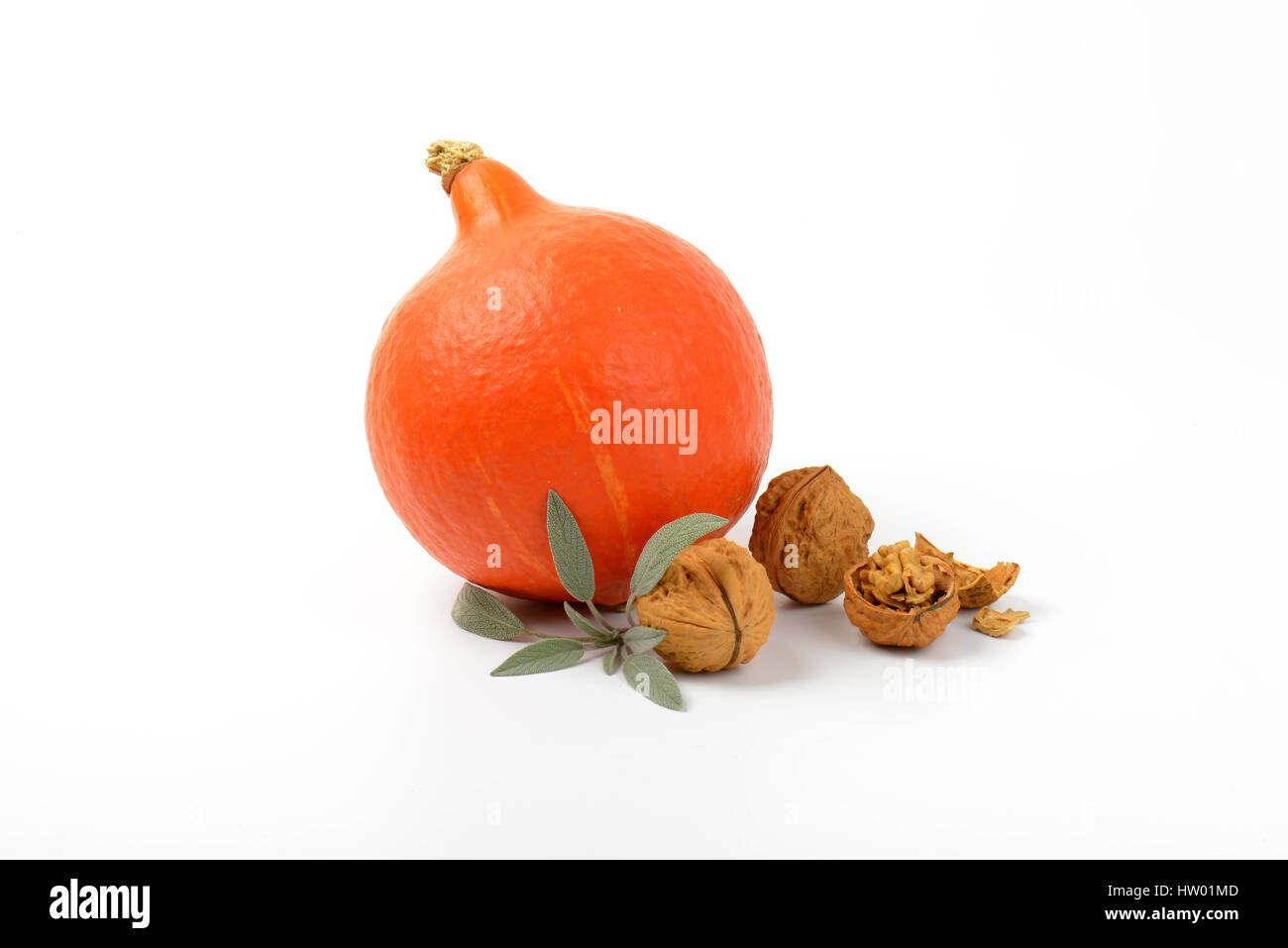 Orange Kürbis mit Walnüssen und Zweig Salbei auf weißem Hintergrund Stockfoto