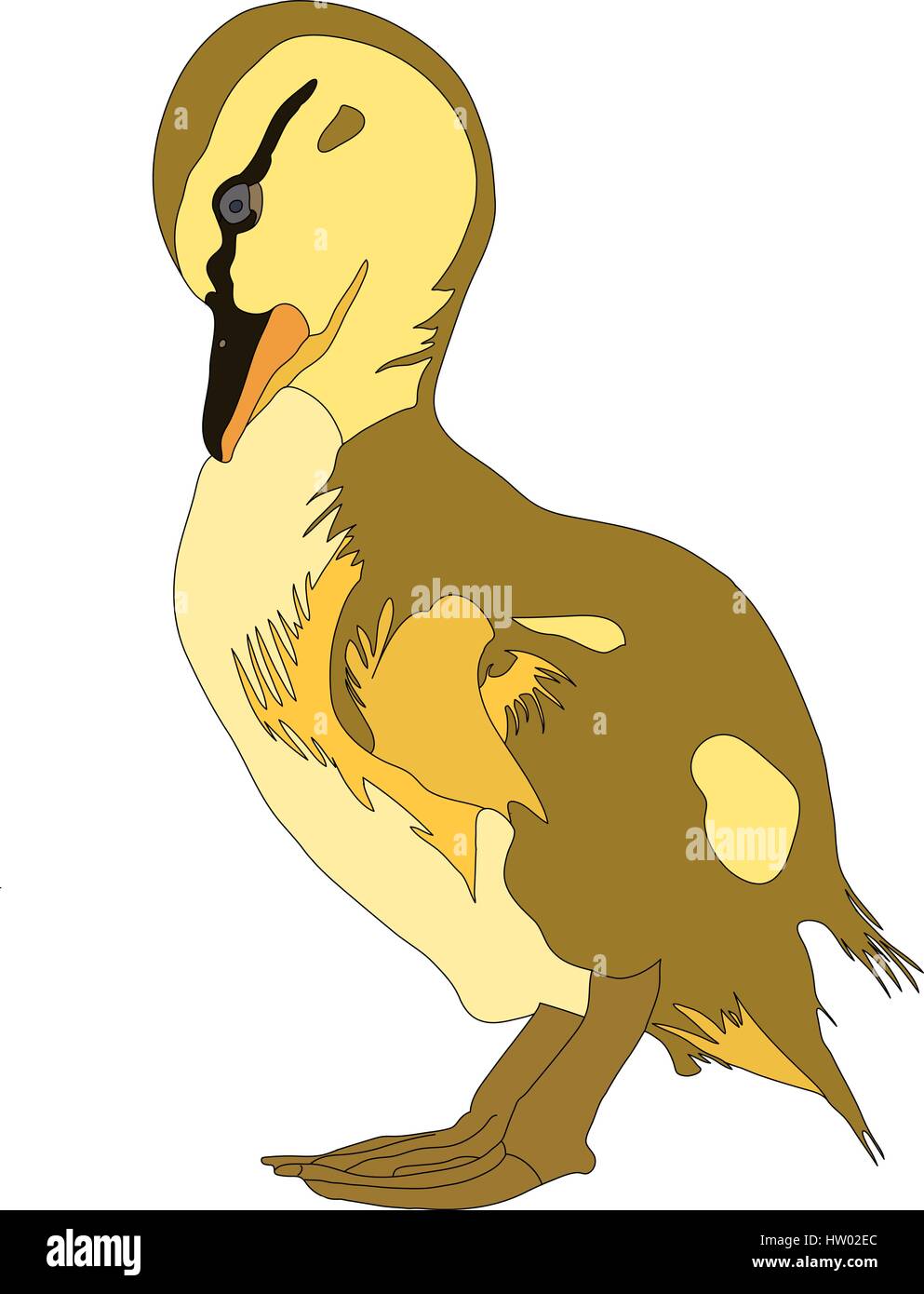 Porträt von einem sehr netten und lustigen gemeinsamen Stockente Ente Huhn Stock Vektor