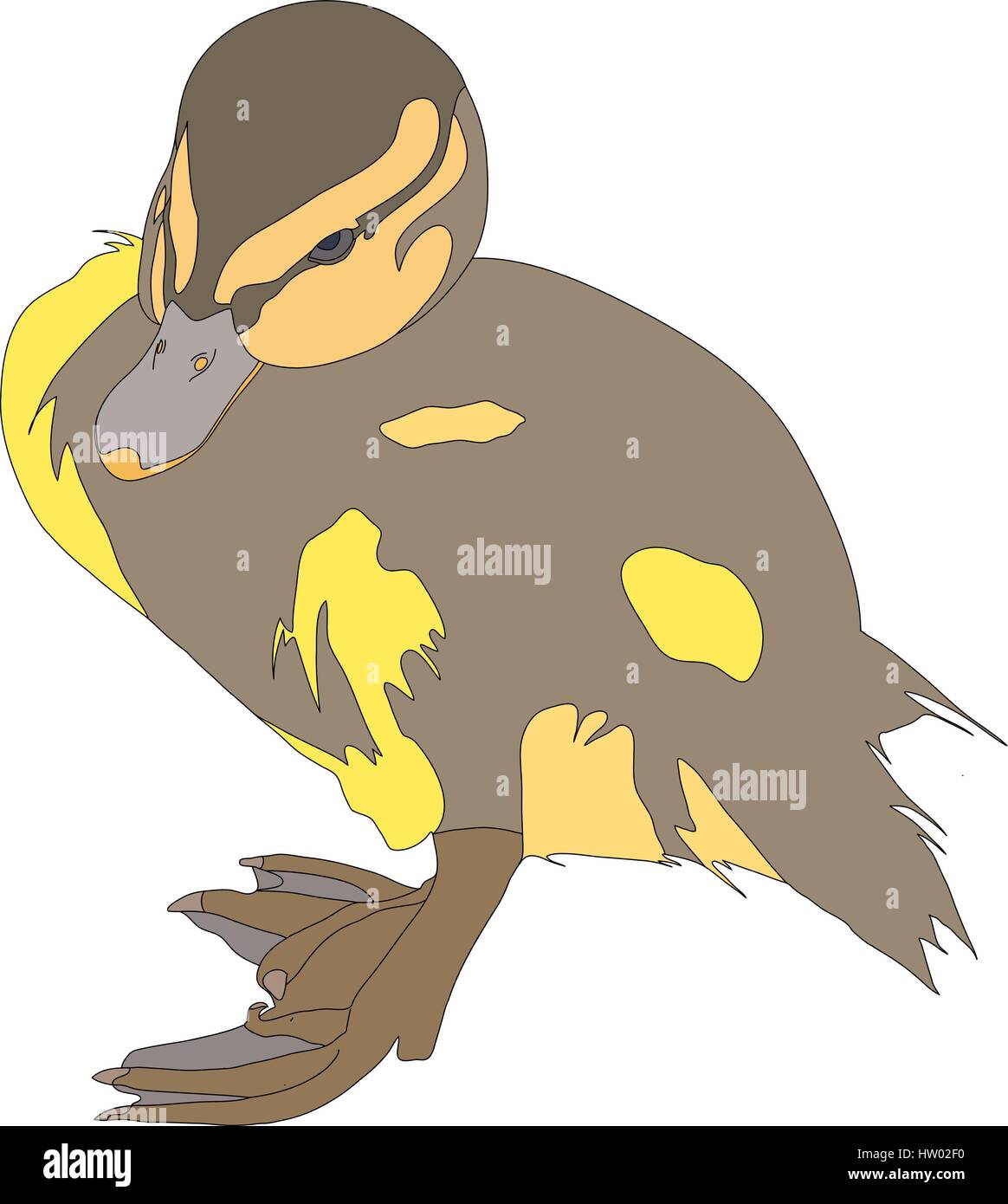 Porträt von einem sehr netten und lustigen gemeinsamen Stockente Ente Huhn Stock Vektor