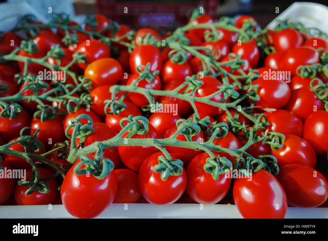 Frische reife rote Tomaten in Boxen im Großhandel Markt bereit für den Einzelhandel Stockfoto