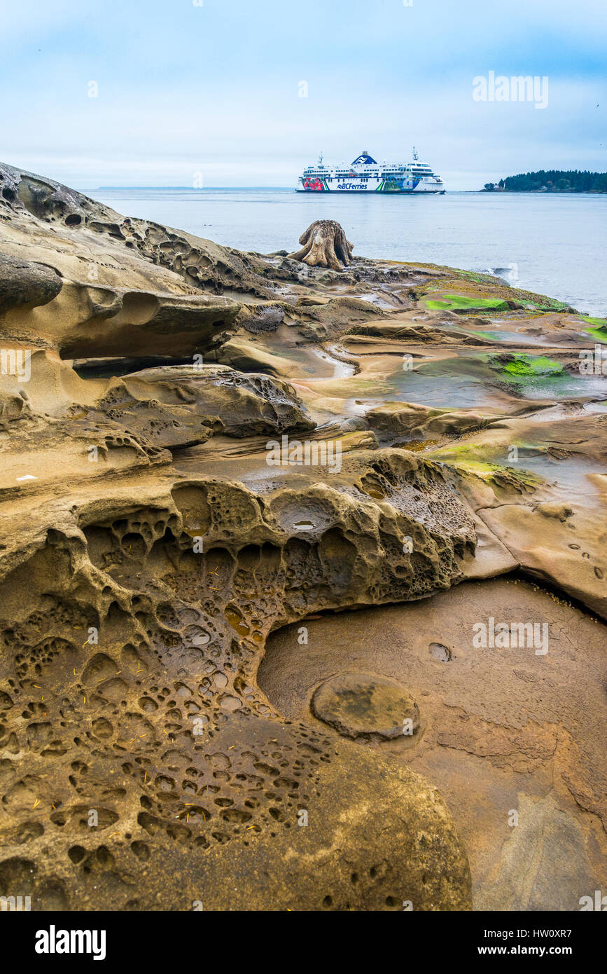 BC-Fähre fährt durch Active Pass zwischen den Gulf Islands, British Columbia, Kanada Stockfoto