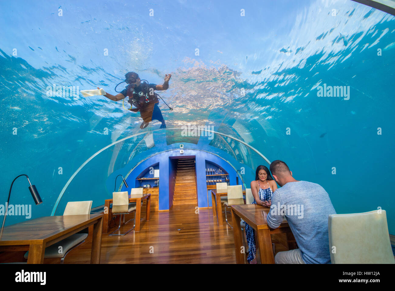 Maldives Rangali Island. Conrad Hilton Resort. Ithaa Unterwasser-Restaurant. Scuba Diver Restaurant Fensterputzen. (MR) Stockfoto