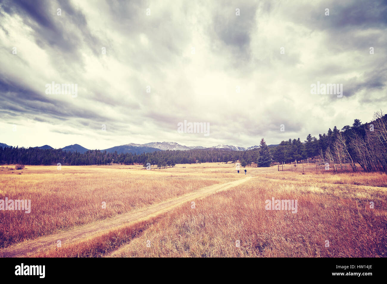 Wanderweg in den Rocky Mountains, getönten Farbe Bild, Colorado, USA. Stockfoto
