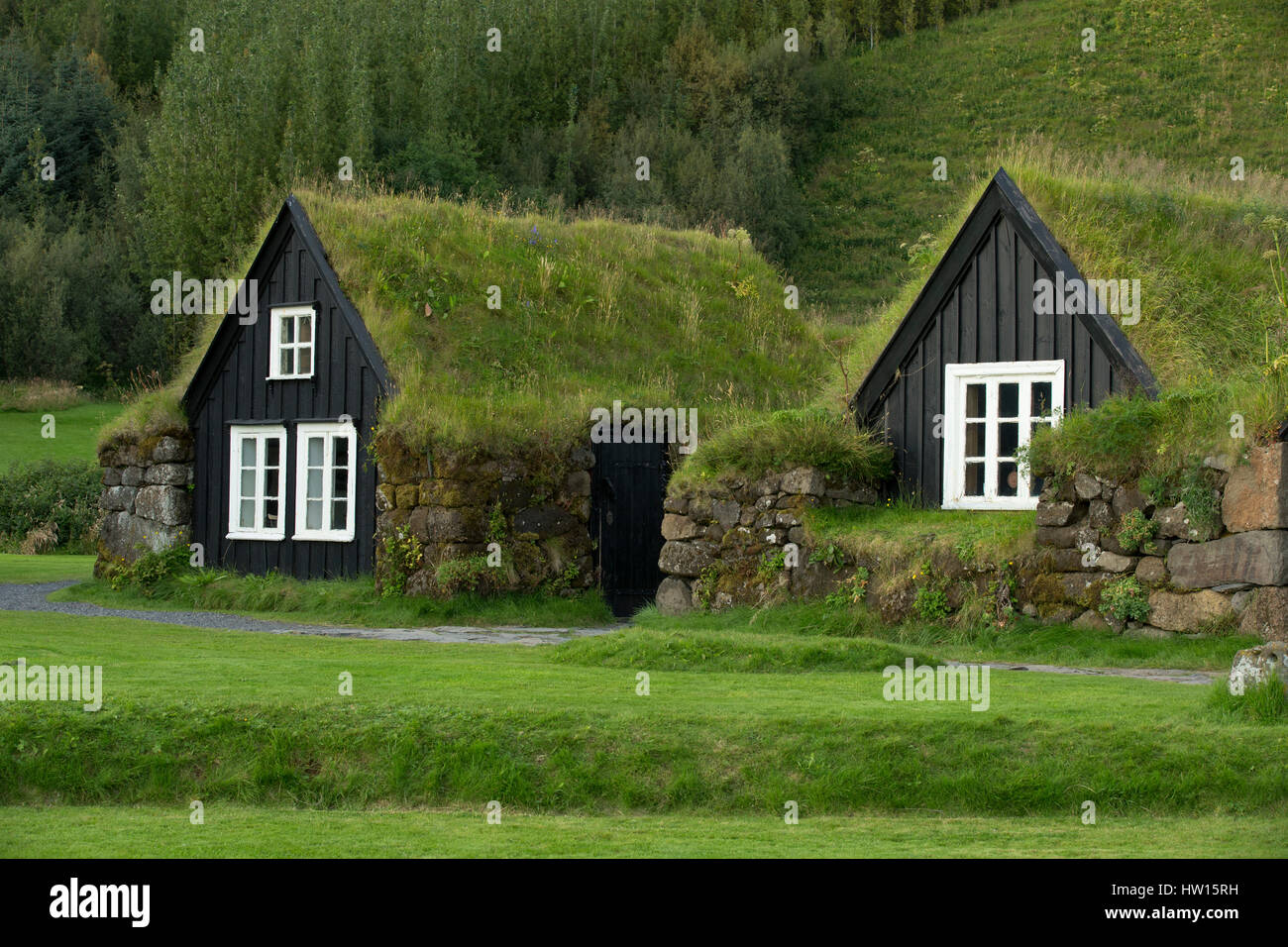 Typische isländische Häuser mit Dächern von Boden und Rasen bedeckt. Stockfoto