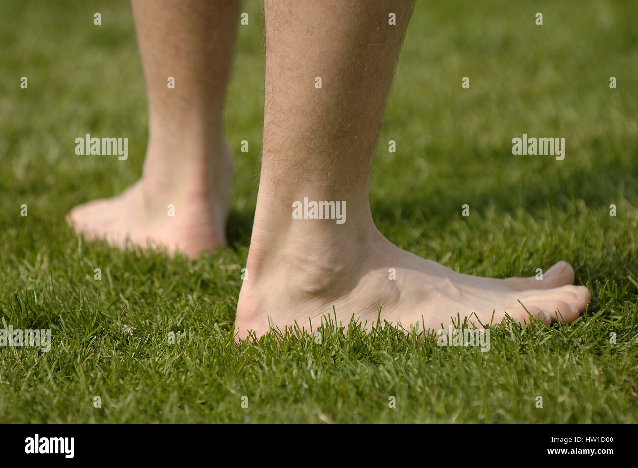 Barfuss in der Wiese, Barfu? Im Gras Stockfotografie Alamy