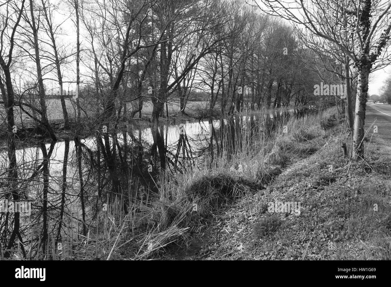 13. März 2017, CHICHESTER CANAL, SUSSEX, ENGLAND: eine malerische Aussicht auf den Kanal von Chichester in Chichester, Sussex, England am 13. März 2017 Stockfoto