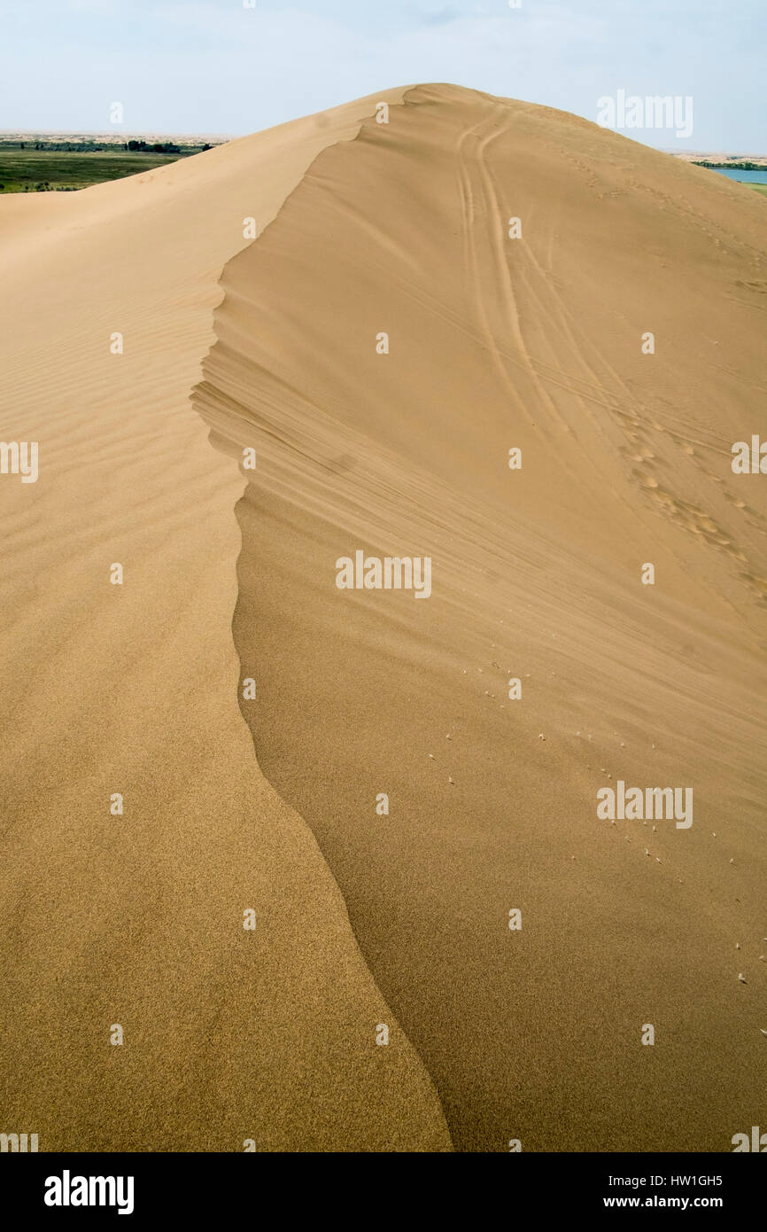 Sanddünen in eine Wüste, Kubuqi, Innere Mongolei, China Stockfoto