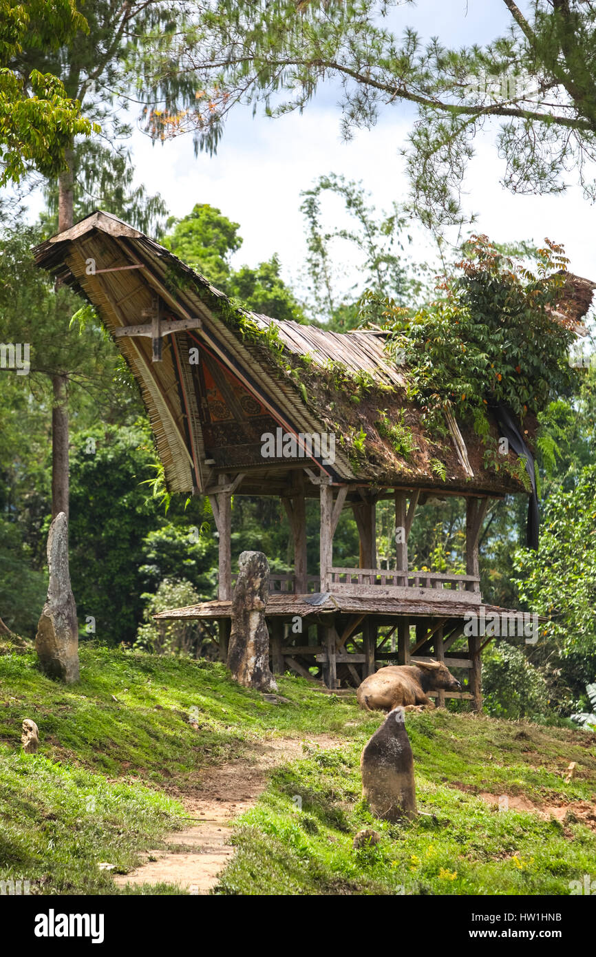 Eine Hütte im traditionellen Architekturstil von Toraja in Kete Kesu, Nord-Toraja, Süd-Sulawesi, Indonesien. Stockfoto