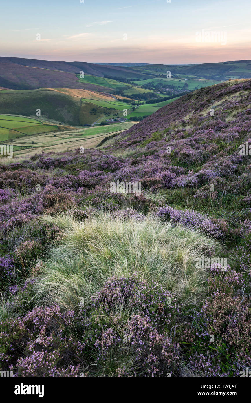 Abenddämmerung auf Heidekraut Moor in der Nähe von Glossop in Nordengland. Stockfoto