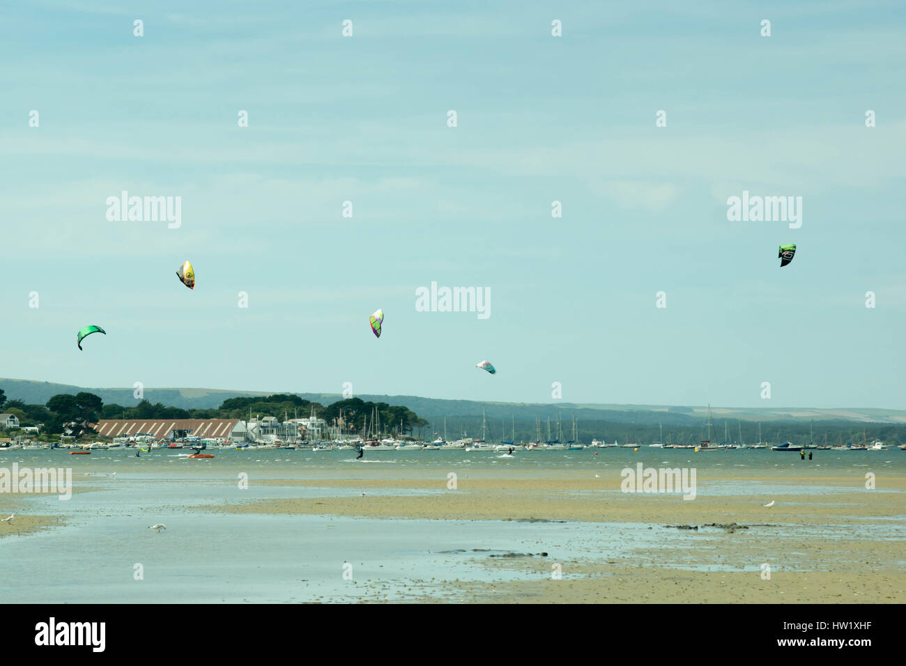 Kite-Surfer im Hafen von Poole, Dorset, UK. Stockfoto