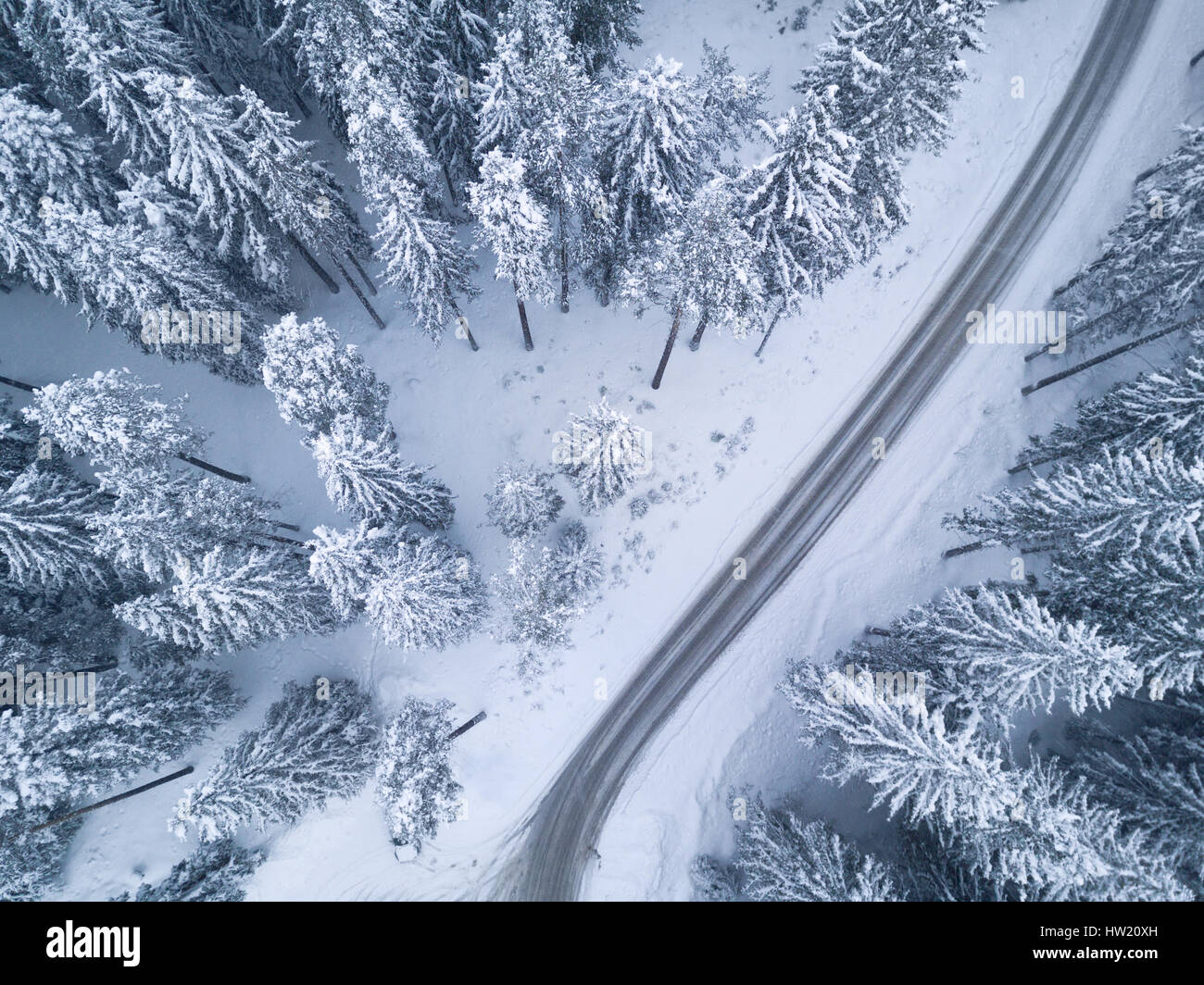 Kalten verschneiten Winterwald mit Vogelperspektive Stockfoto