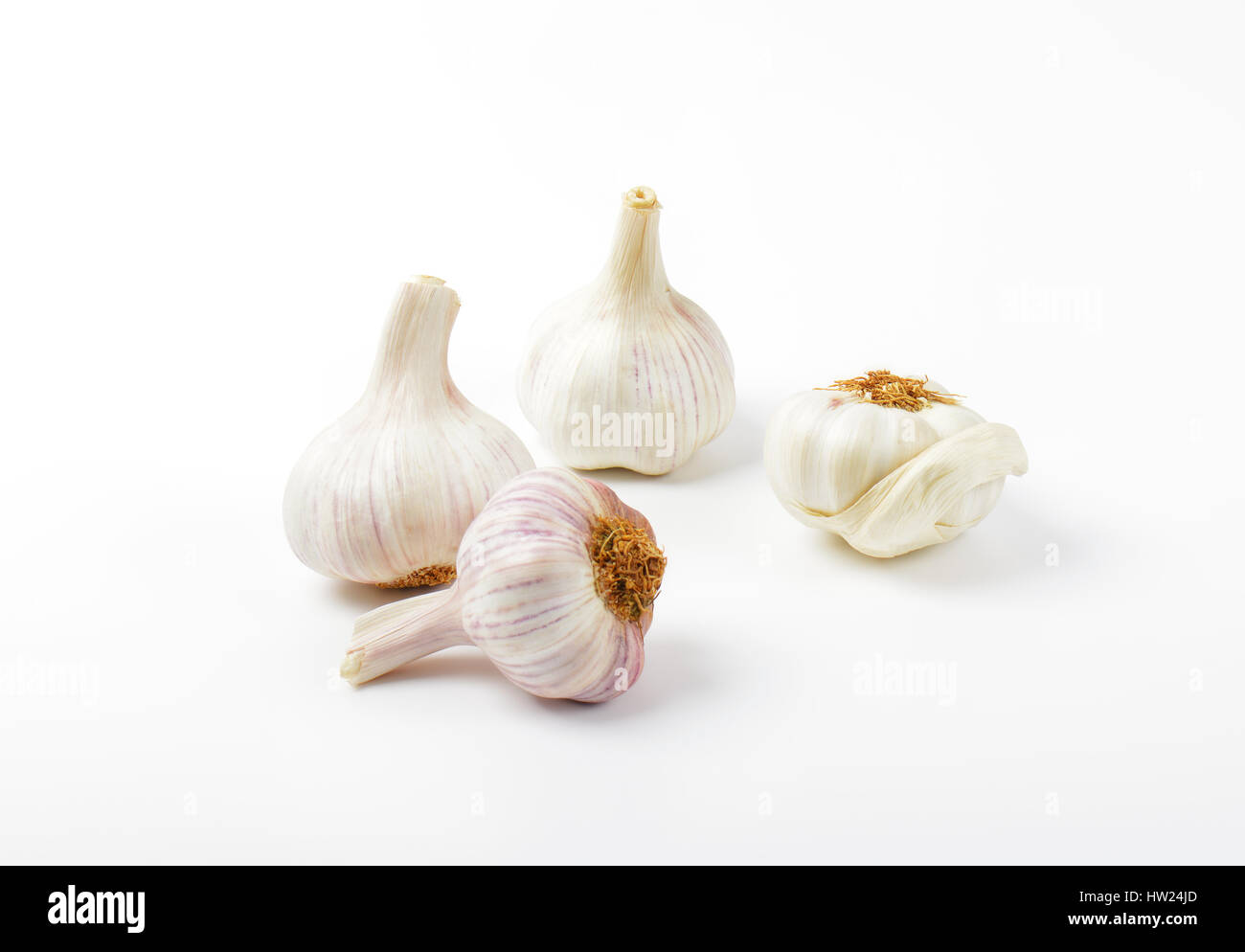 Frischer Knoblauch Zwiebeln auf weißem Hintergrund Stockfoto