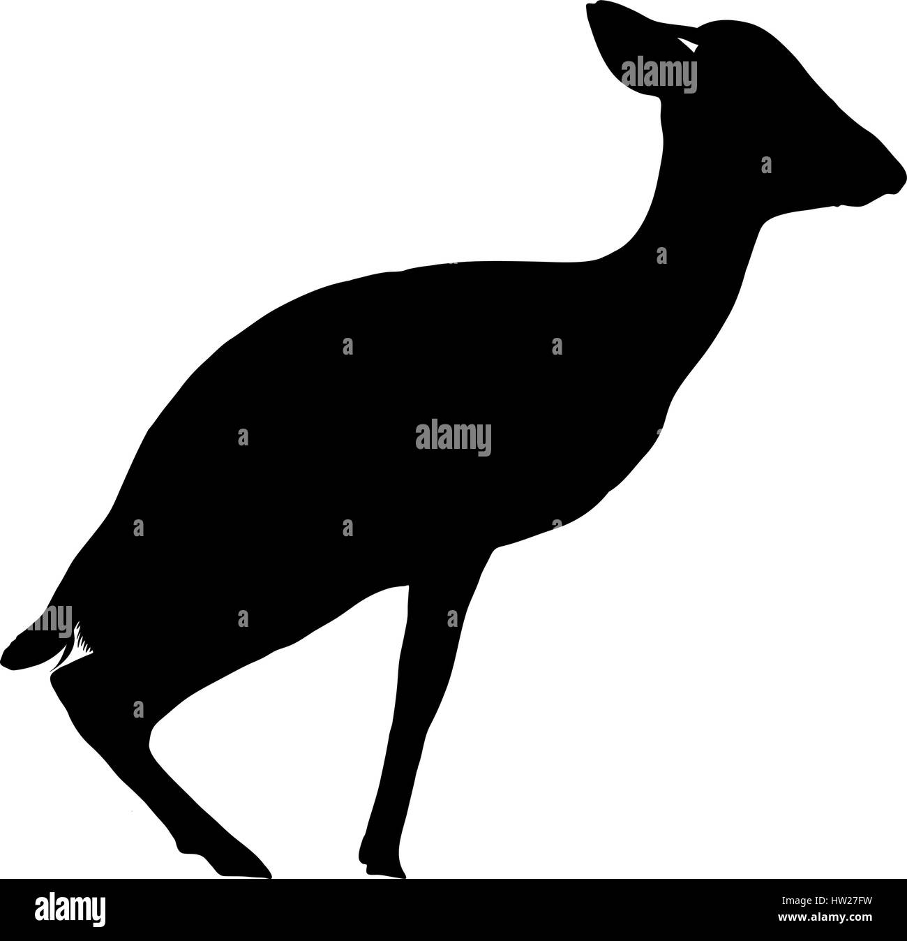 Silhouette von einem Damara Dik-Dik sitzen Stock Vektor