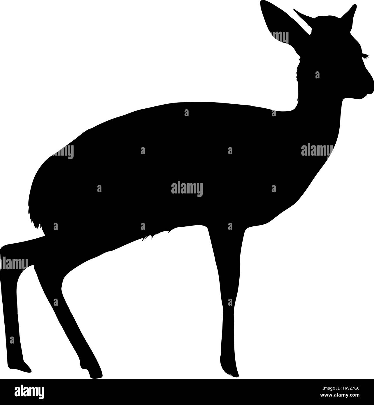 Silhouette von einem ständigen Damara Dik-dik Stock Vektor