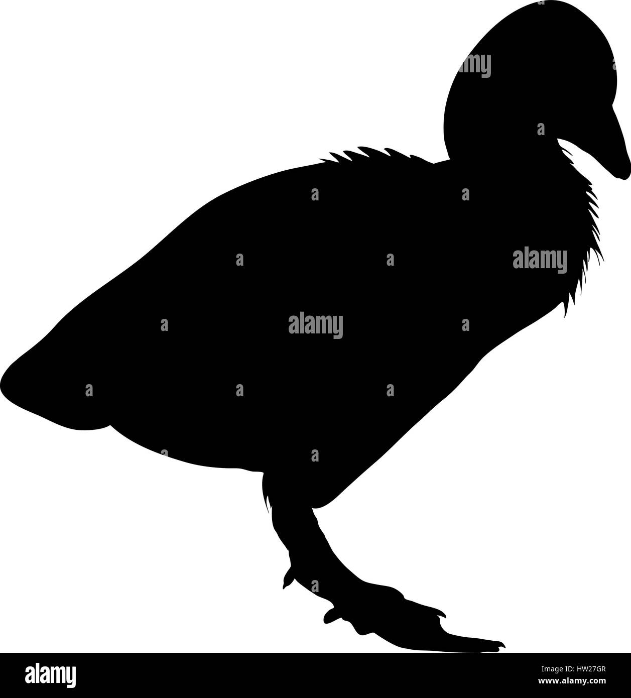 Silhouette eines Grayleg Gans Huhn Stock Vektor