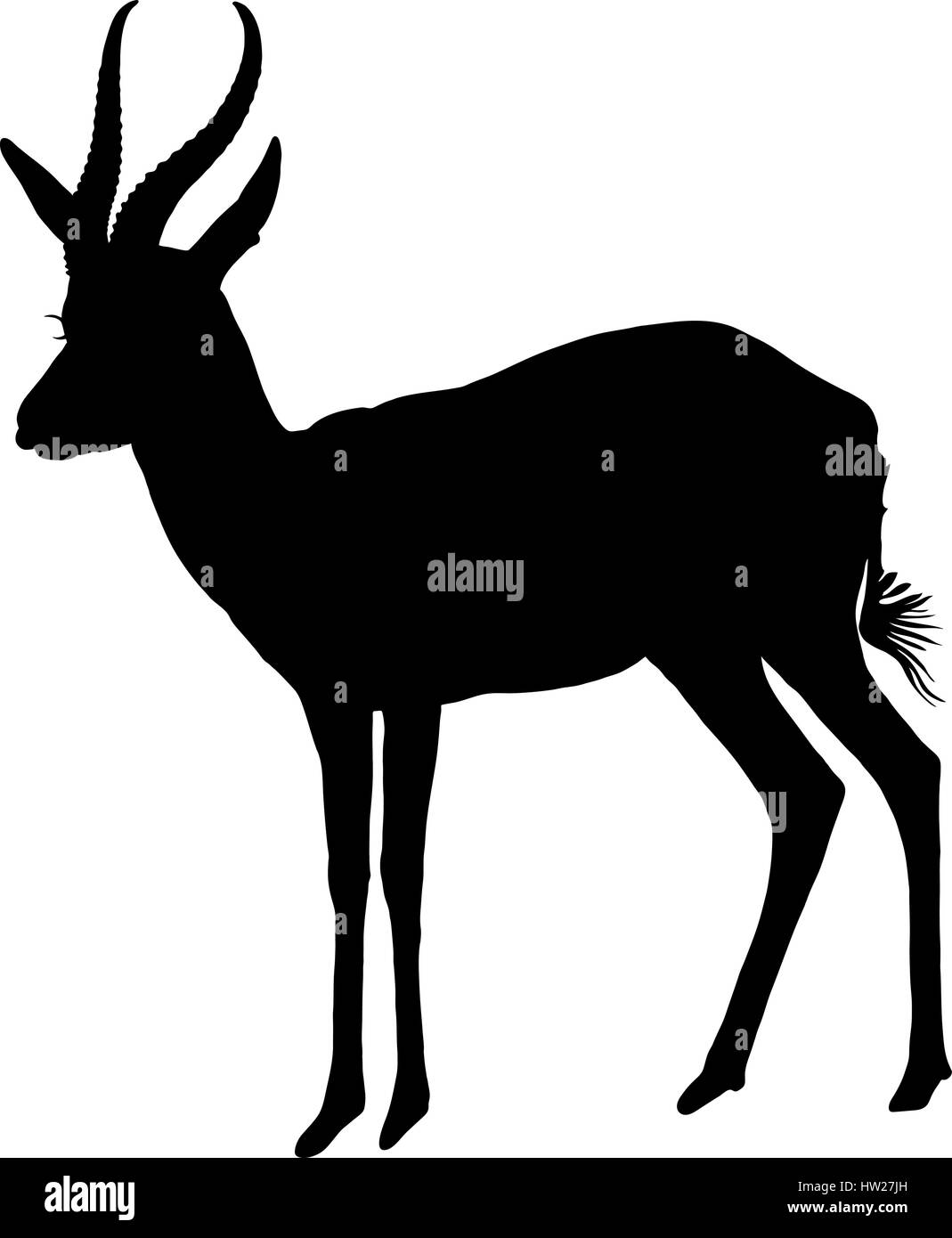 Silhouette der eine stehende Springbock Antilope Stock Vektor