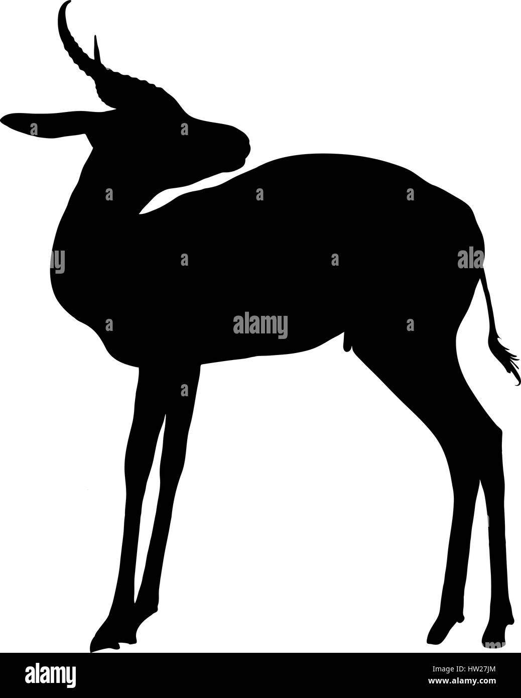 Silhouette der eine stehende Springbock Antilope Stock Vektor