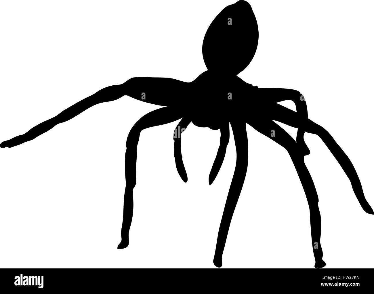 Silhouette einer sehr kleinen Wüste Spinne Stock Vektor