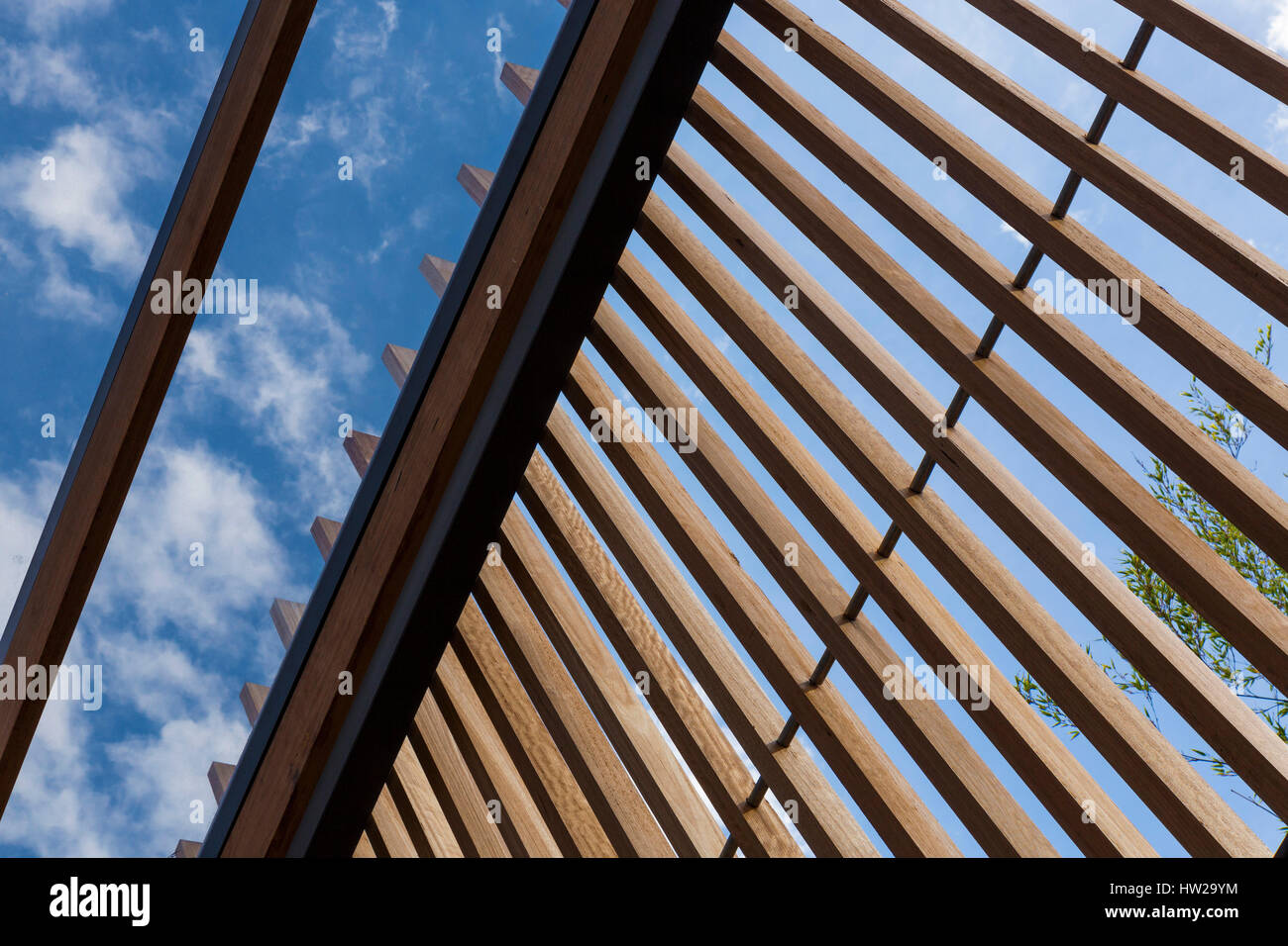 Blick auf Wald-und transparente Überdachung im Außenbereich. Vail Street House, Melbourne, Australien. Architekt: Annie Lai, 2016. Stockfoto