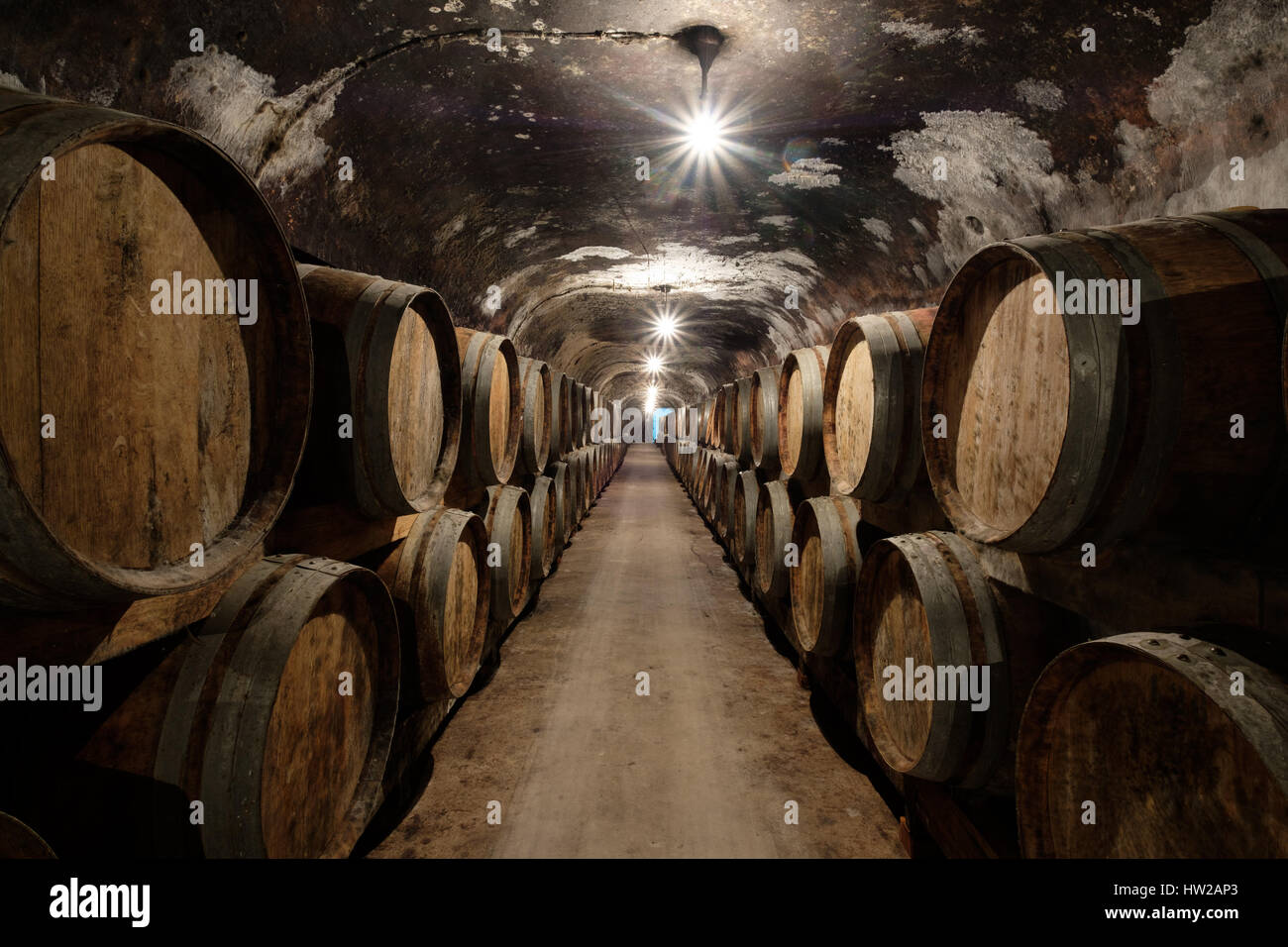 Wein-Alterung in Fässern im Caves Primavera in der Region Bairrada von Portugal, Europa Stockfoto