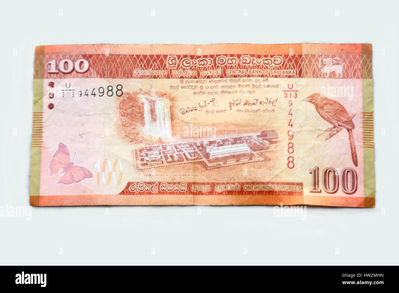 Sri-Lanka-Rupie-Banknoten - hundert Rupien zeigt die Vorderseite der Hinweis Stockfoto