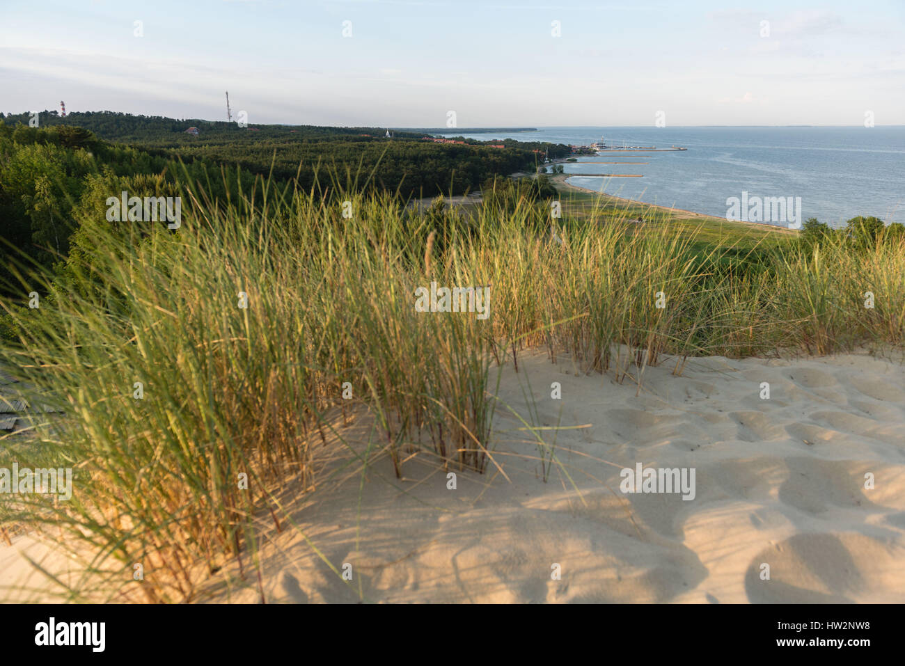 Blick Süden auf Russisch - litauischen Grenze von der Parnidis Düne auf die Kurische Nehrung, Nida, Litauen, Osteuropa Stockfoto