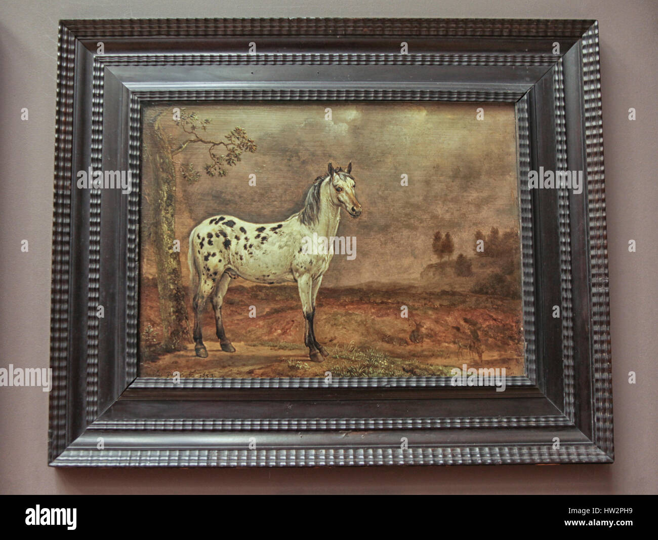 The Piebald 1653 XVII century by the famous Dutch painter Paulus Potter at the Louvre Museum in Paris Stockfoto