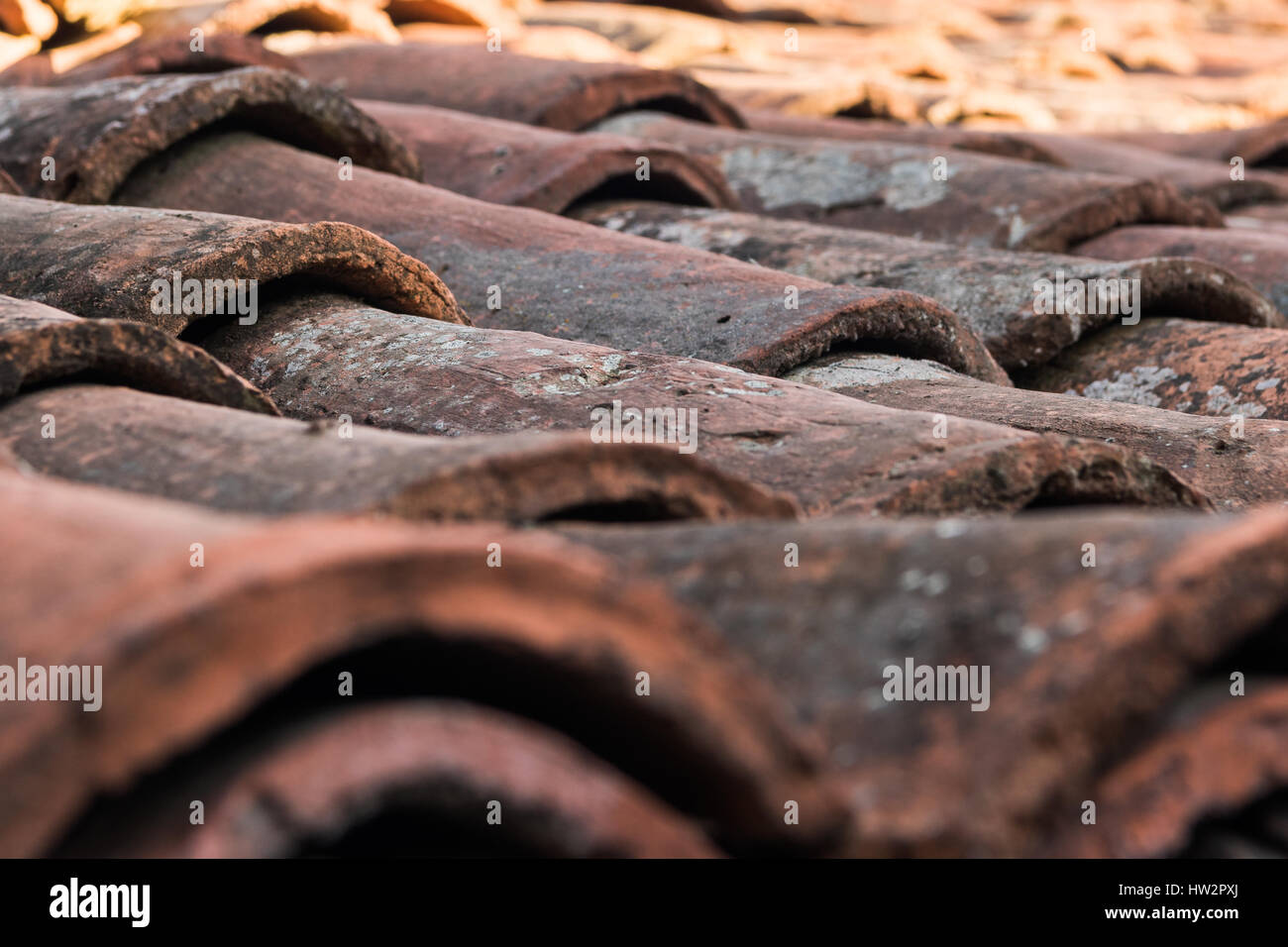 Nahaufnahme eines sehr alten und verwitterten Dachziegeln Stockfoto