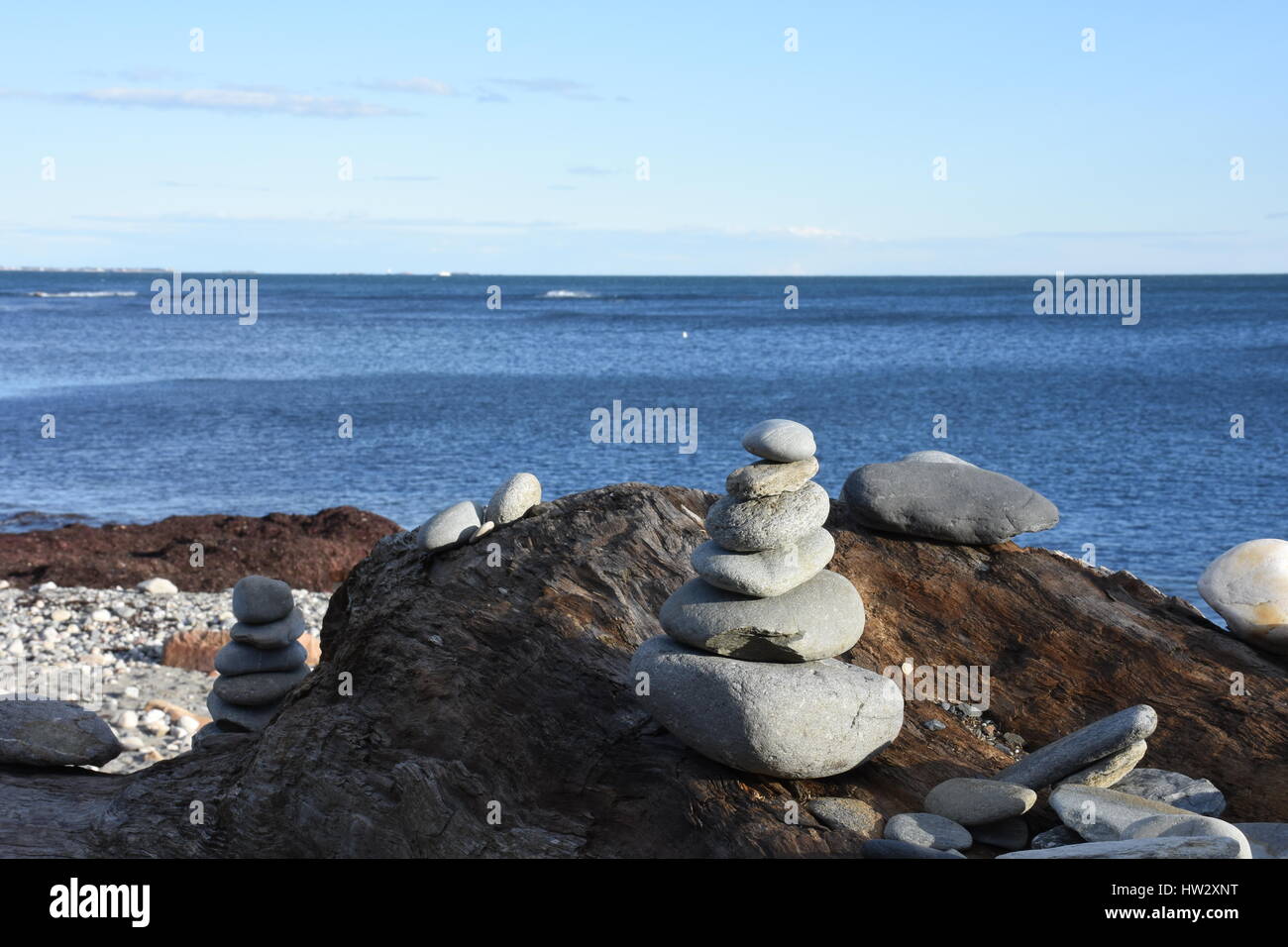 Gestapelte Felsen auf einem Baum, der vor Jahren mit dem Ozean im Hintergrund fiel. In Newport, Rhode Island auf Klippenweg genommen. Stockfoto