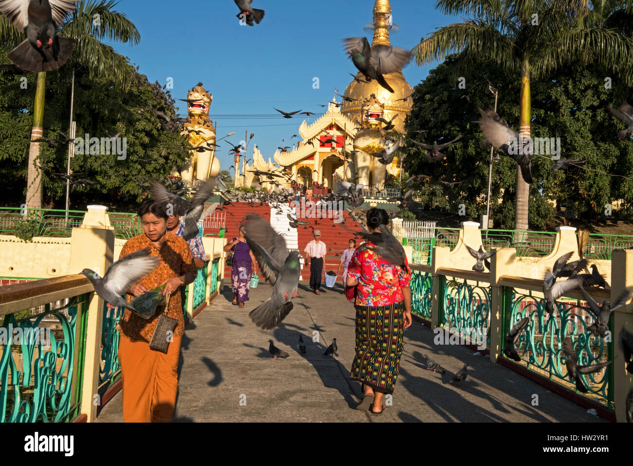 Besucher sind umgeben von Vögel am Eingang der Maha-Wizaya-Pagode in Yangon Region, Yangon, Myanmar Stockfoto