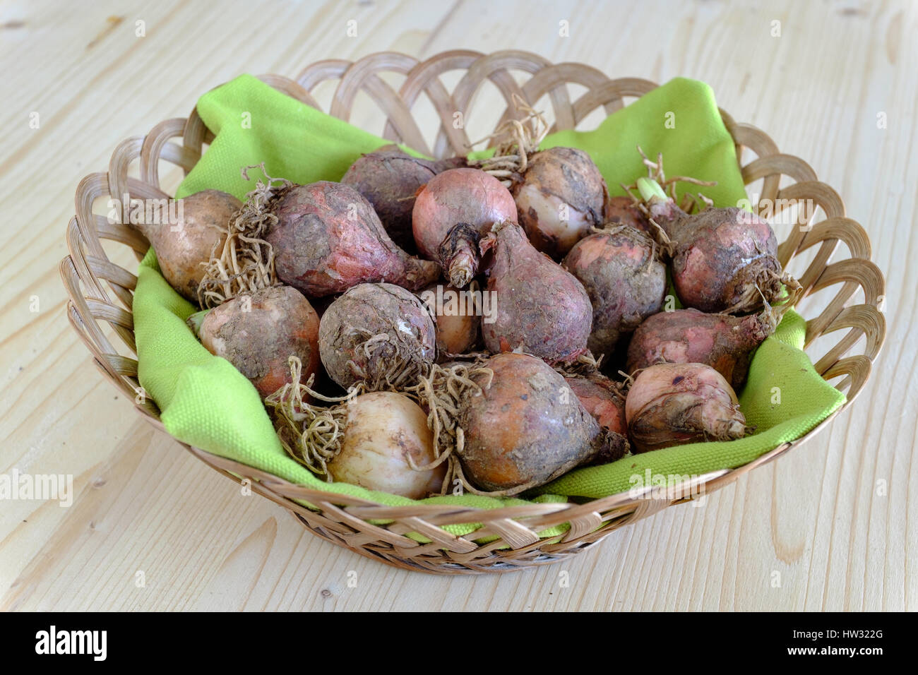 Traditionelle wild essen rohen Kochen Stockfoto