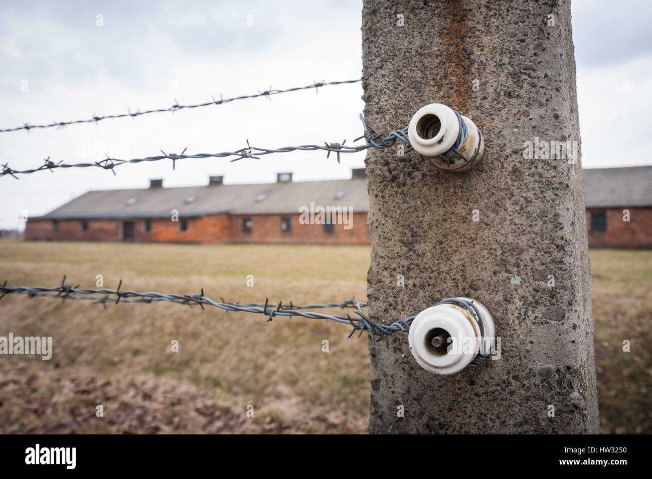 Nahaufnahme der Elektrozaun Isolatoren Auschwitz Birkenau Konzentration Tod Camp Polen Stockfoto