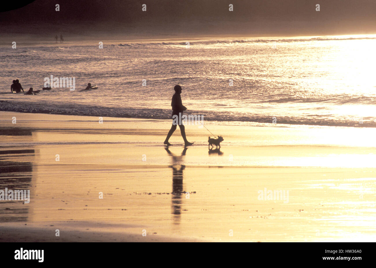Mann, Spaziergang mit seinem Hund am Strand in Surfers Paradise, Queensland Stockfoto