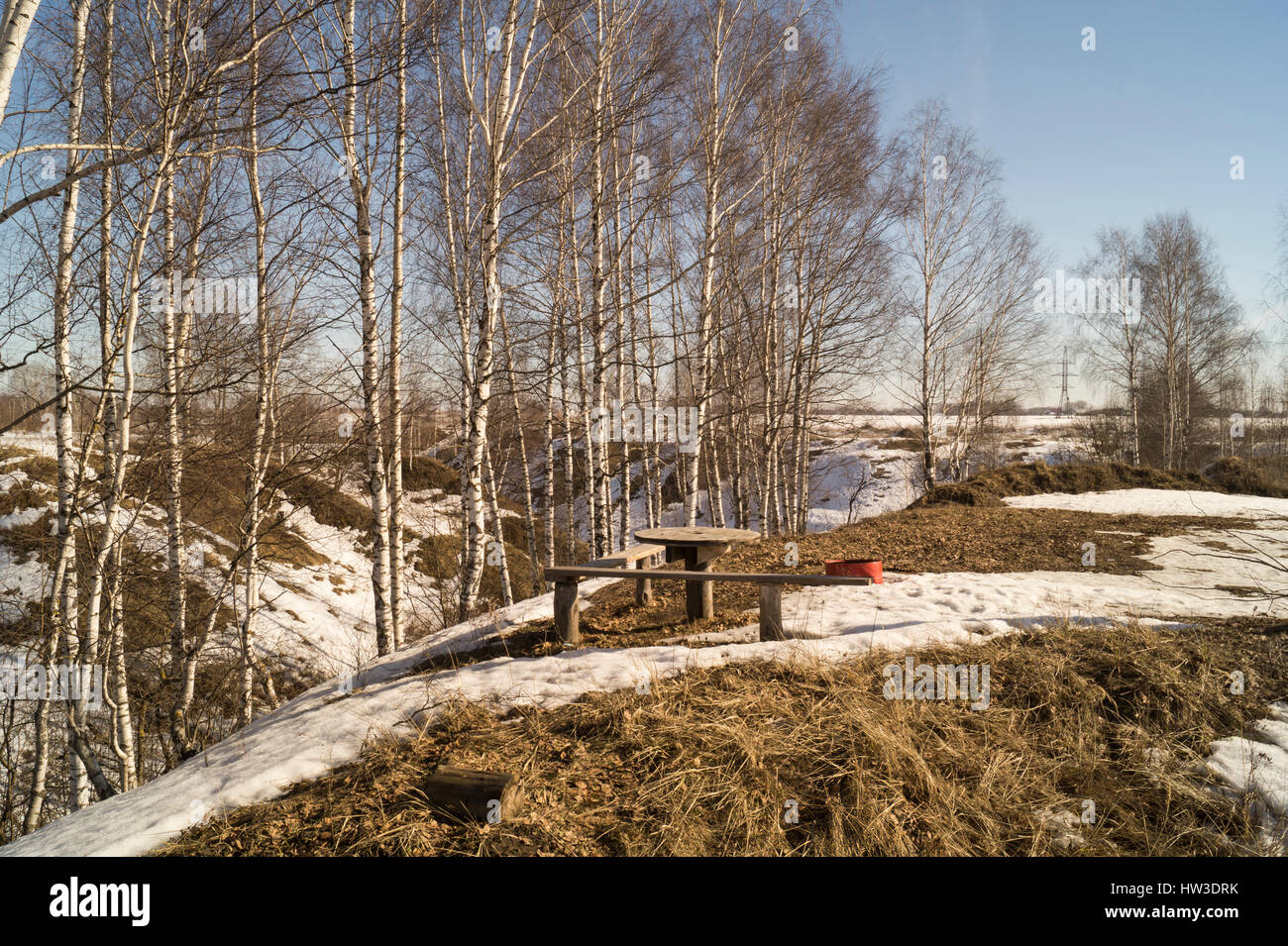 Frühlingslandschaft mit Birke in ländlichen Gelände auf Hintergrund blauer Himmel Stockfoto