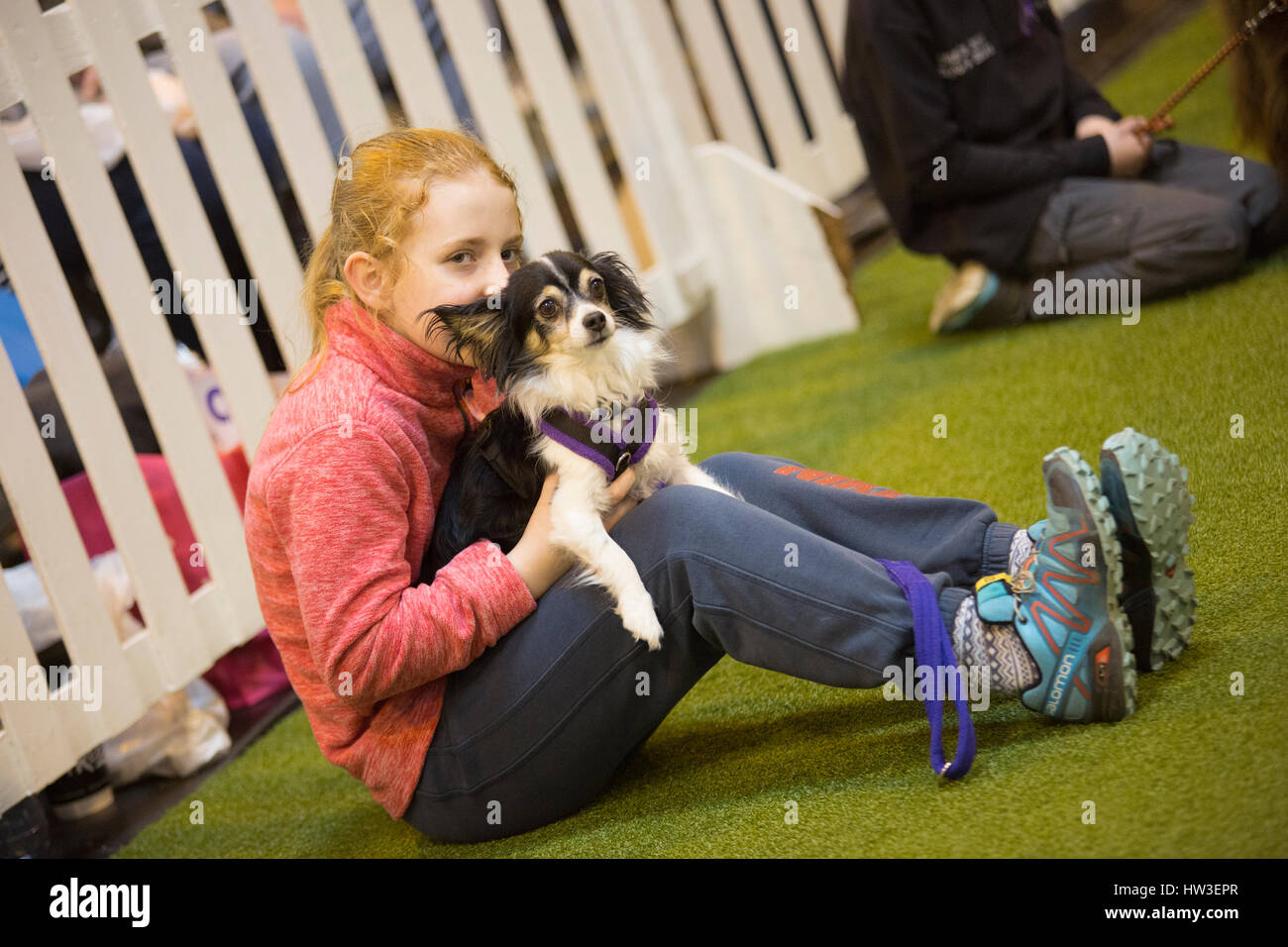 BIRMINGHAM, VEREINIGTES KÖNIGREICH. 12. März 2017. Demi Wright, 10, kuschelte ihr Chihuahua Pip nach dem Gewinn eines kleinen Agility-YKC-Wettbewerbs auf Crufts. © Katze L Stockfoto