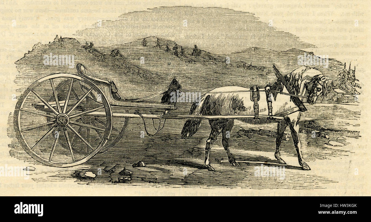 Antiken 1854 Gravur, "A norwegische Carriole." Ein Carriole war eine Art der Beförderung im 19. Jahrhundert verwendet. Es war ein Licht, klein, zwei oder vier Rädern Fahrzeug, offen oder verdeckt, gezogen von einem einzigen Pferd. QUELLE: ORIGINAL GRAVUR. Stockfoto