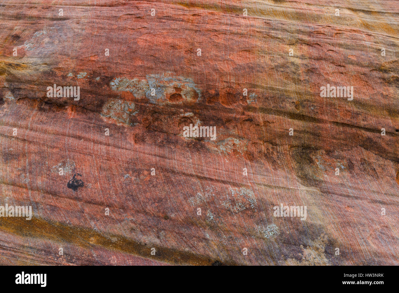 Muster im Rock Formation Detail, Zion Nationalpark, UT, USA Stockfoto