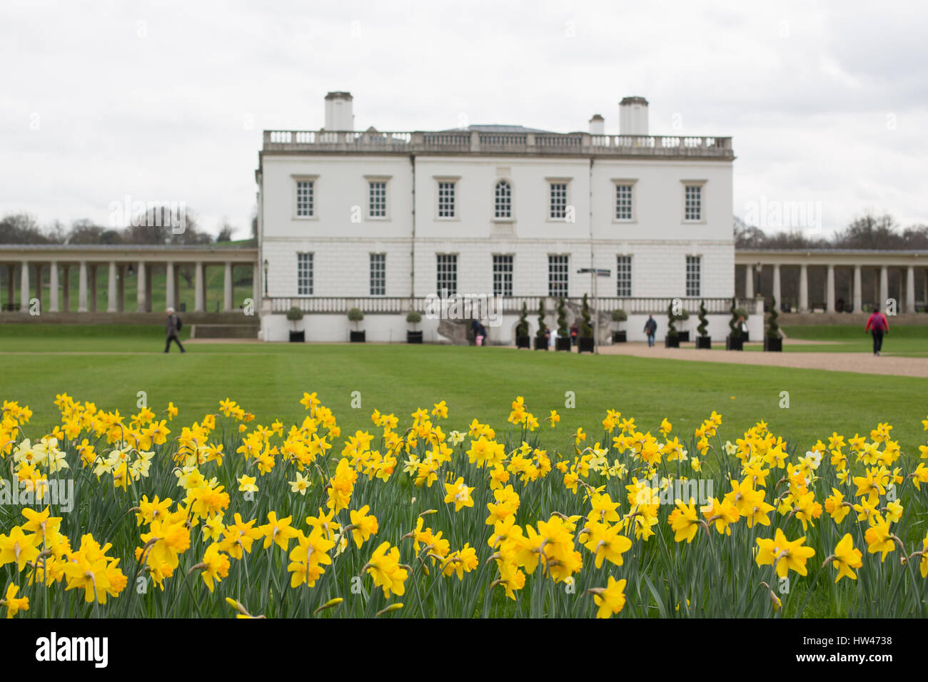 Greenwich, London, UK. 17. März 2017. Narzissen vor der historischen Queen es House in Greenwich. Bildnachweis: Rob Powell/Alamy Live-Nachrichten Stockfoto