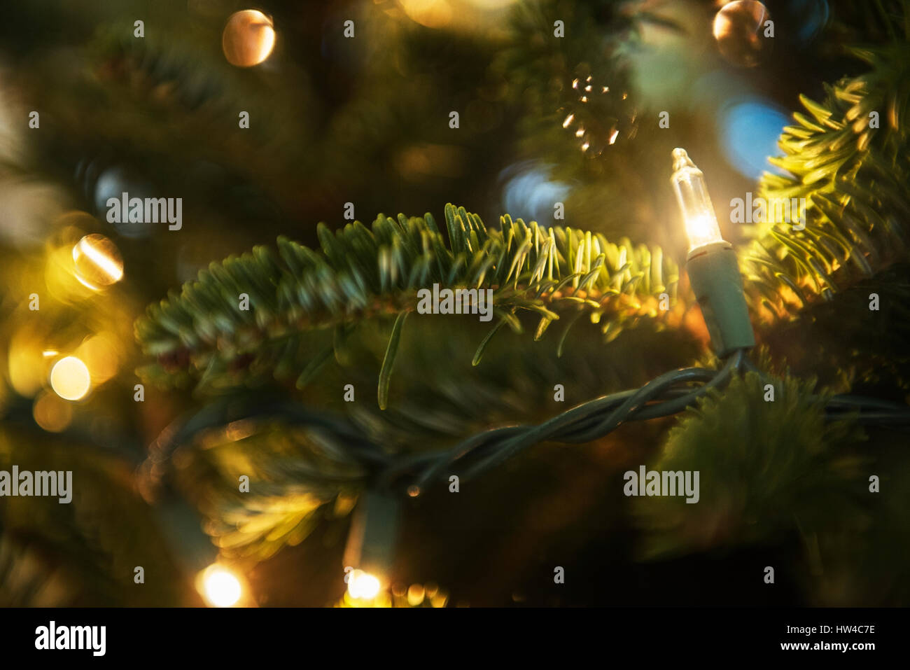 Lichterkette am Weihnachtsbaum Stockfoto