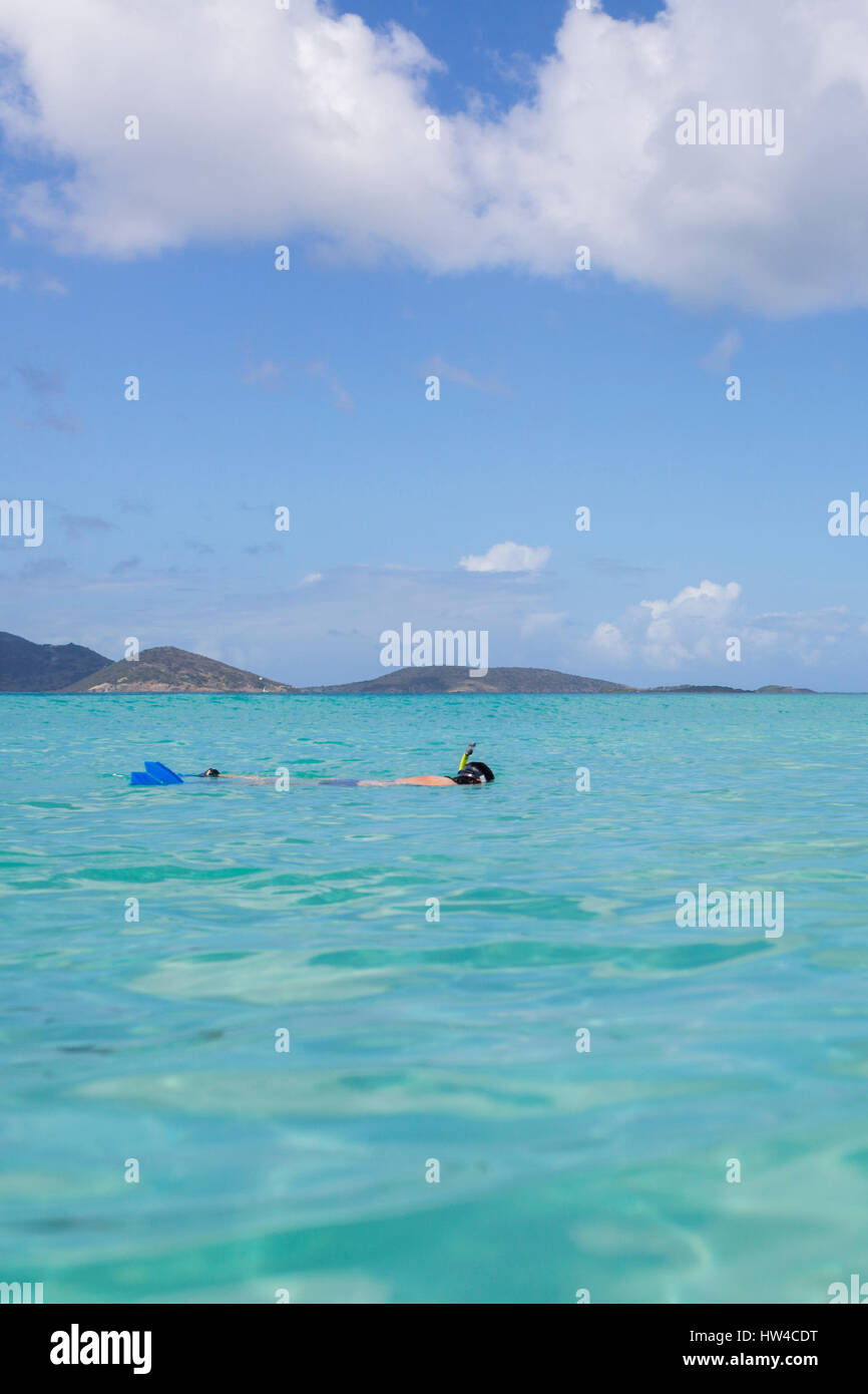 Kaukasischen Mann Schnorcheln im tropischen Ozean Stockfoto