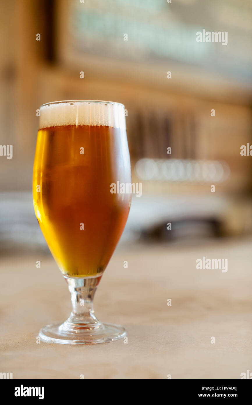 Glas Bier Stockfoto