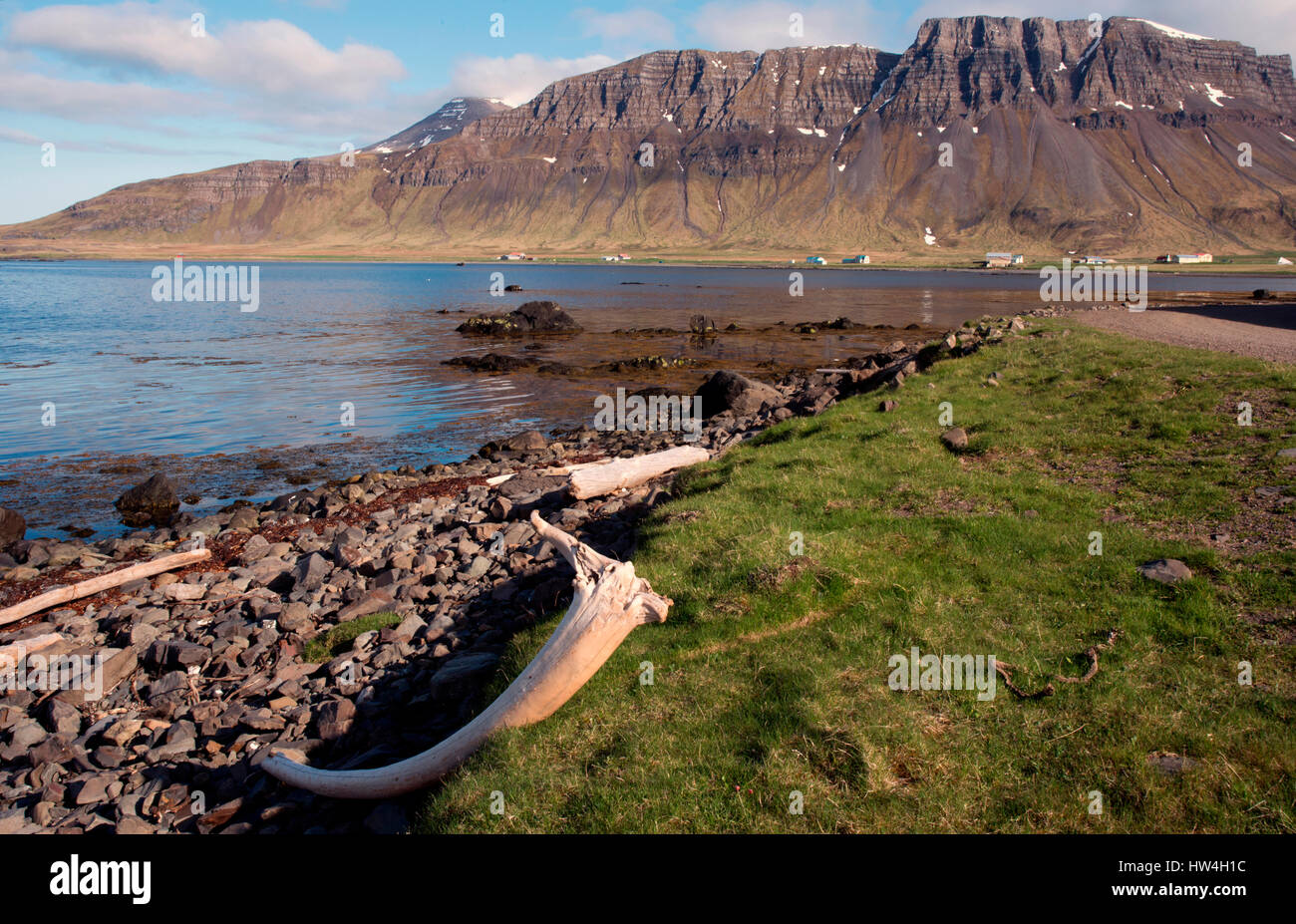 Ländliche Landschaft Arneshreppur, Westfjorde, Island. Stockfoto