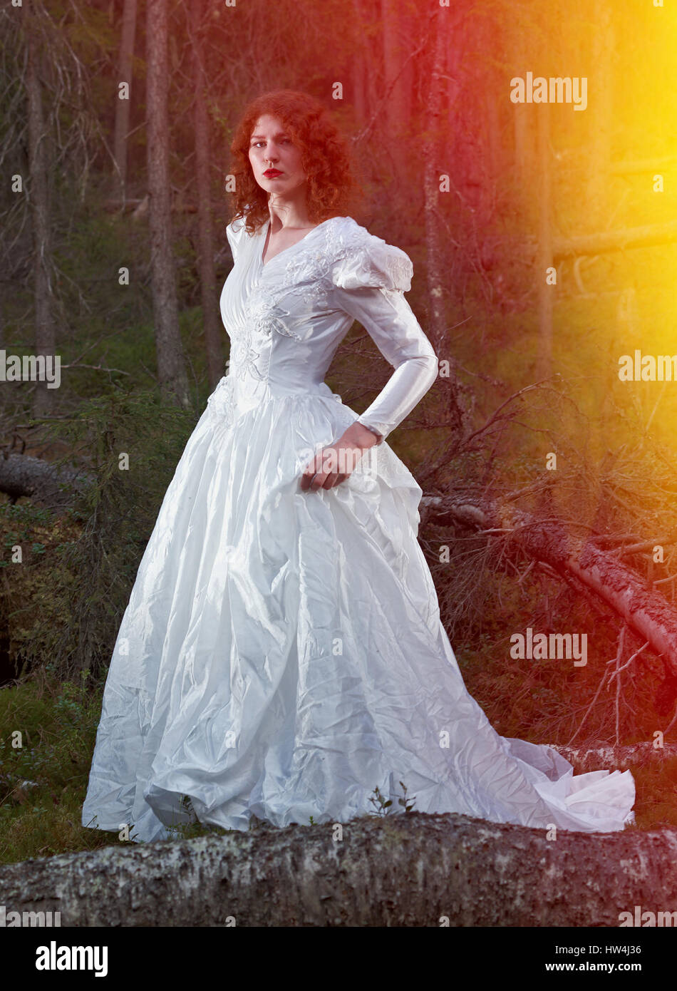 Junge Frau im weißen langen Kleid in den mystischen Wald. Stockfoto