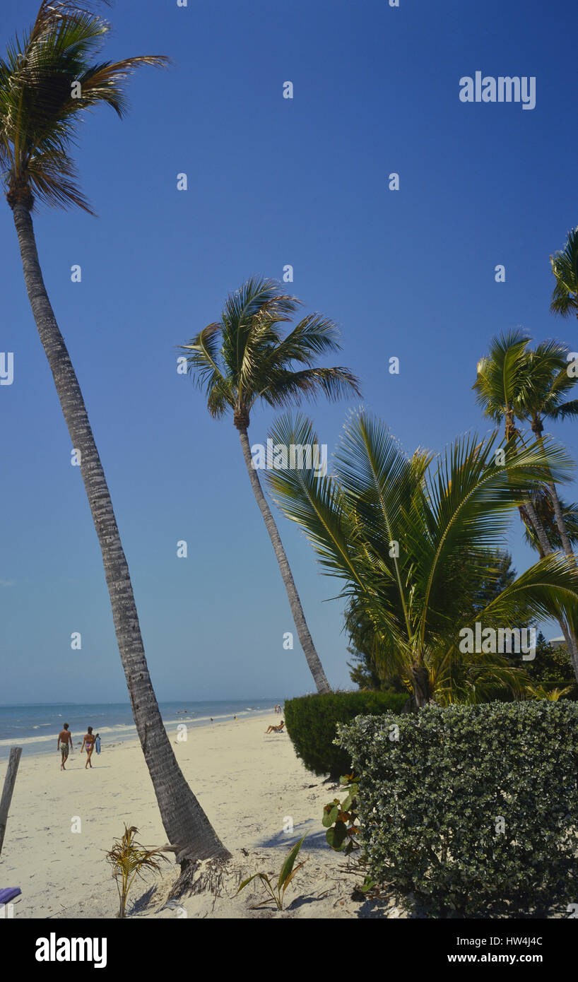 Fort Myers Beach. Florida. USA Stockfoto