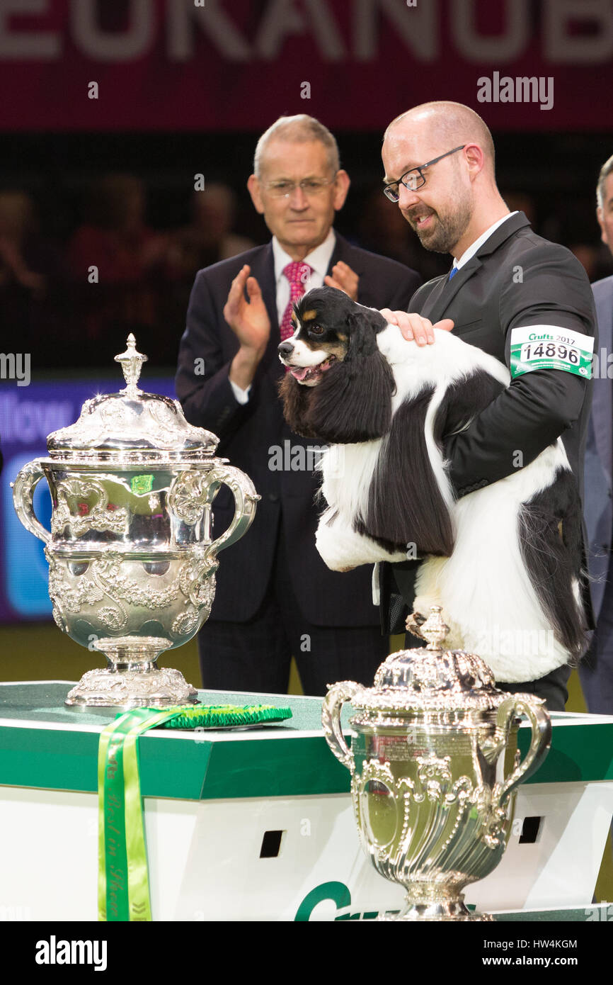 Crufts Best in Show Winner Afterglow Miami Ink, eine American Cocker Spaniel mit Handler Jason Lynn © Jon Freeman/Alamy Live News Stockfoto