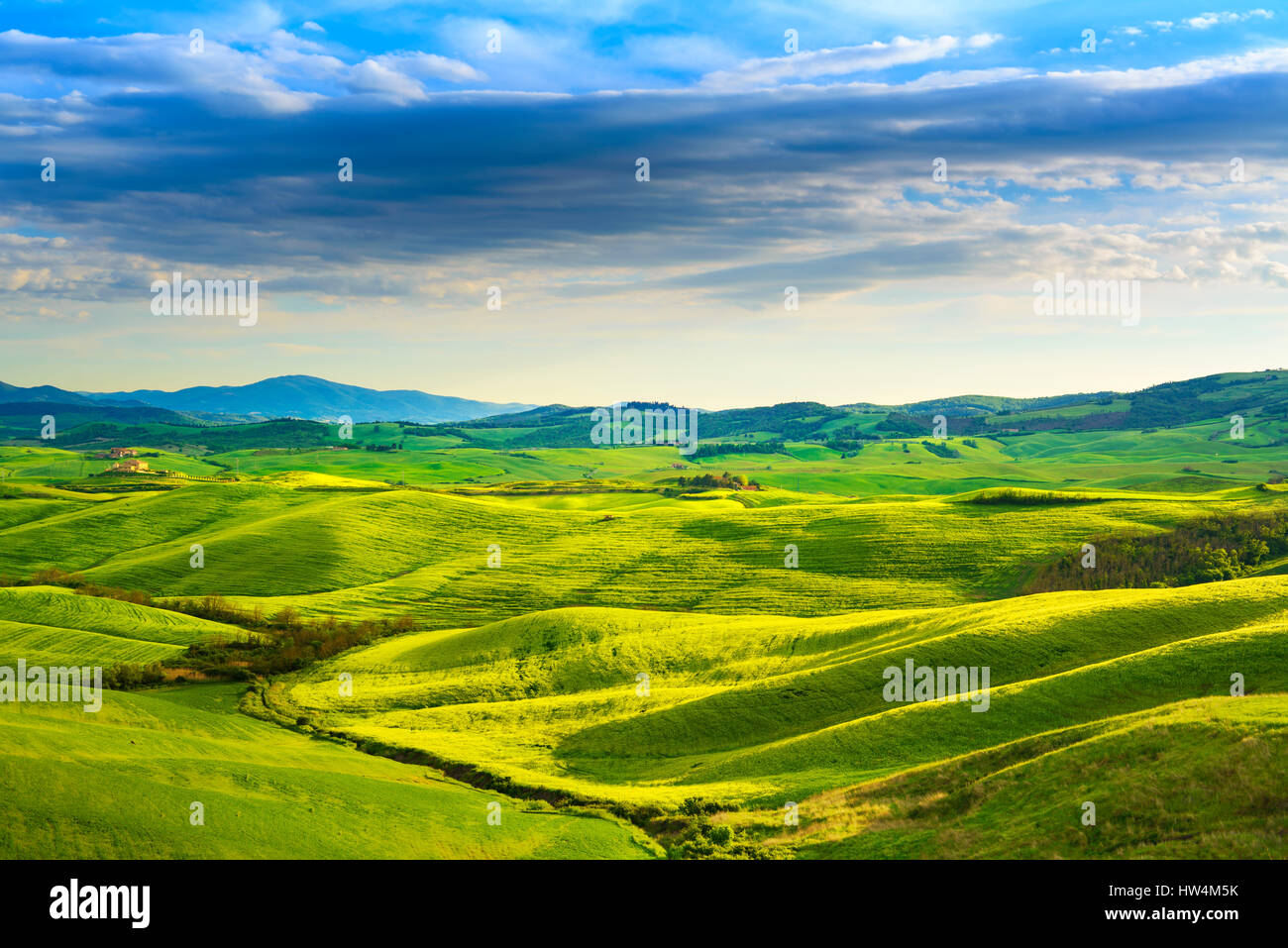 Tuscany Frühling, sanften Hügeln am Sonnenuntergang. Landschaft im ländlichen Raum. Grüne Wiesen und Ackerland. Volterra, Italien, Europa Stockfoto