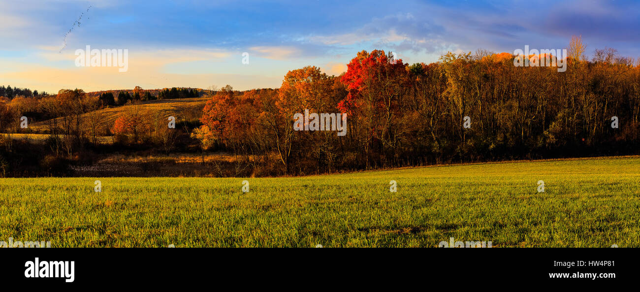 Fallen Sie im Hudson Valley, NY. Blätter Farbwechsel mit bedecktem Himmel. In der Nähe von Troy NY. Stockfoto