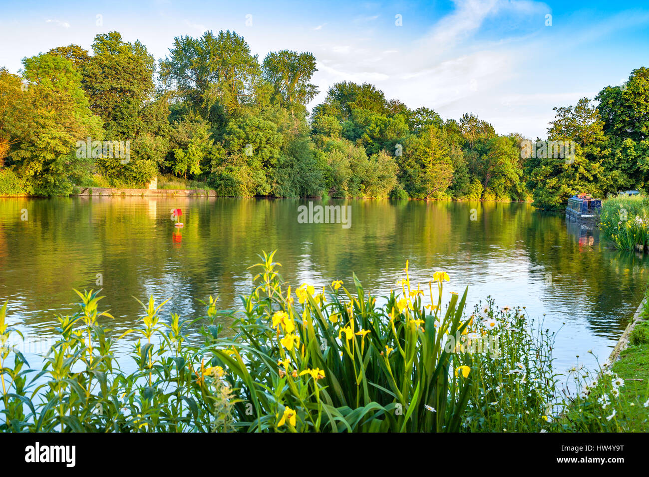 Themse nahe Iffley Lock. Oxford, Oxfordshire, England, UK Stockfoto