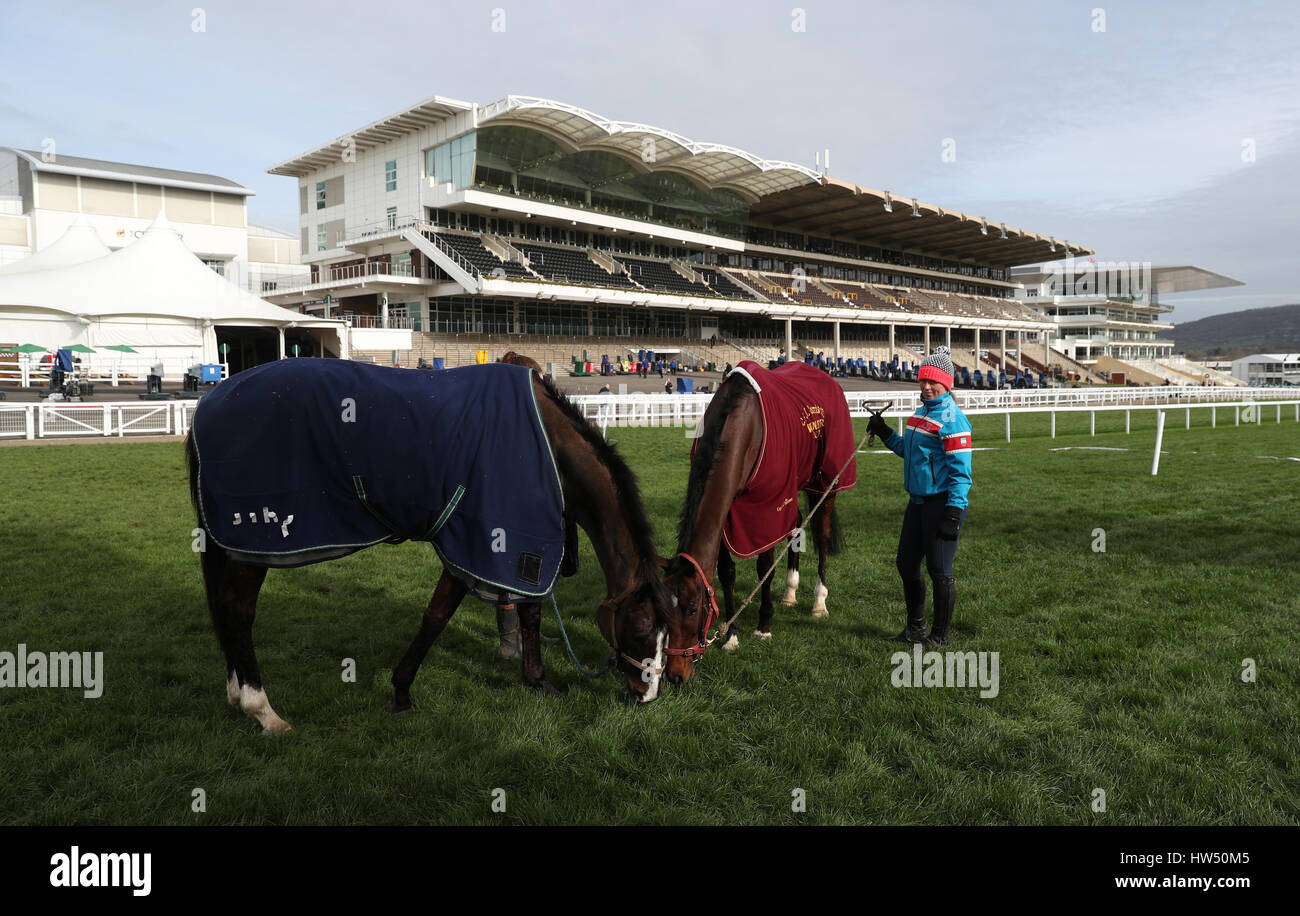 Große Geste und Ay, Charley Fuß auf dem Golfplatz tagsüber Gold Cup der 2017 Cheltenham Festival in Cheltenham Racecourse. Stockfoto